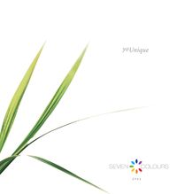 Seven-colours-spa